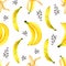 Seamless pattern of watercolor bananas with brush strokes. Isolated bright illustration on white. Hand painted fruits