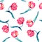 A seamless pattern with the watercolor crimson and scarlet tulips