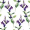 Seamless pattern with watercolor drawing blue bell flowers