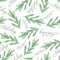 Seamless pattern watercolor drawing botanical, branches of spruce, pine, isolated object