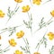seamless pattern with watercolor drawing californian poppy