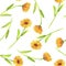 seamless pattern with watercolor drawing pot marigold