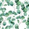 Seamless pattern with watercolor eucalyptus leaves. green eucalyptus leaves on a white background. realistic watercolor. print for