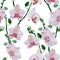 Seamless pattern with watercolor flowers. pink orchid flowers on a white background. delicate pattern with tropical flowers, reali