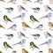 Seamless pattern with watercolor of forest birds.