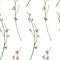 Seamless pattern with watercolor genista. Hand drawn illustration is isolated on white. Branches with flowers