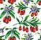 Seamless pattern of watercolor goji berries, flowers and leaves.