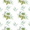 Seamless pattern Watercolor green olive tree branch leaves, Realistic olives illustration on white background, Hand