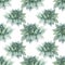 Seamless pattern watercolor hand-drawn green and blue succulent echeveria home plant. Art creative nature background for