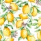 Seamless pattern with watercolor lemon branches and flowers. Hand drawn illustration is isolated on white. Yellow ornament