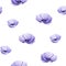 Seamless pattern of watercolor purple anemones. Isolated hand painted flowers on white