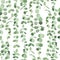 Seamless pattern with watercolor succulents peperomia green cascade plant