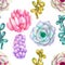 A seamless pattern with the watercolor various kinds of succulents