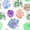 A seamless pattern with the watercolor various kinds of succulents