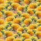 Seamless pattern of watercolor yellow dandelions