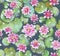 Seamless pattern of waterlilies from top