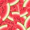 Seamless pattern with watermelon.