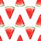 Seamless pattern with watermelons