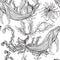 Seamless pattern with whale, marine plants and seaweeds.Vintage set of black and white hand drawn marine life.