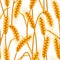 Seamless pattern with wheat. Agricultural image natural golden ears of barley or rye.