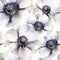 Seamless pattern with white anemones
