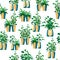 Seamless pattern on a white background indoor plants in pots in pairs