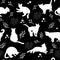 Seamless pattern with white cats silhouettes on black background. Cute kittens.Feline in different poses.Animals sit,lay,relax.