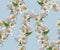 Seamless pattern with white daffodils.