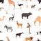 Seamless pattern with wild African animals on white background. Backdrop with fauna of Africa. Colored vector