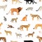 Seamless pattern with wild cats on white background. Backdrop with exotic carnivorous animals of Felidae family