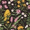 Seamless pattern with wild herbs. Vintage herbal background with meadow and field flower plants. Endless floral texture