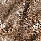 Seamless pattern wild Leopard and Skin design abstract