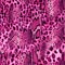 Seamless pattern wild Leopard and snake Skin design abstract