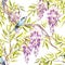 Seamless pattern with wisteria. Hand draw watercolor illustration