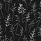 Seamless pattern witn delicate thin silhouettes of dry wild herbs