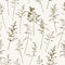 Seamless pattern witn delicate thin silhouettes of dry wild herbs