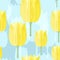 Seamless pattern with a yellow and blue tulips