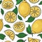 Seamless pattern with yellow lemons - illustration