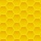 Seamless pattern with yellow ornate