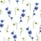 Seamless pattern with yellow rocket and blue chicory flowers.