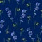 Seamless pattern with yellow rocket and blue chicory flowers.