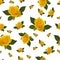 Seamless pattern yellow rose