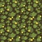 Seamless pattern with  yellow water lily Nuphar Lutea on a dark background.