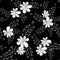 Seamless patterns. White flowers, graceful petals on a black background.