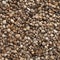 Seamless pebble beach texture