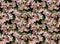 Seamless photo background with flowers of badana. Floral natural pattern bergenia