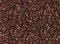 Seamless photo of coffee beans for background texture