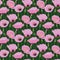 Seamless Pink Papaver Rhoeas Flowers Pattern