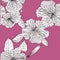 Seamless pink pattern with hibiscus. Hand drawn. Graphics
