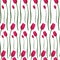 Seamless pink Tulip vector pattern. Symbol of tenderness. Plant on an isolated background.
